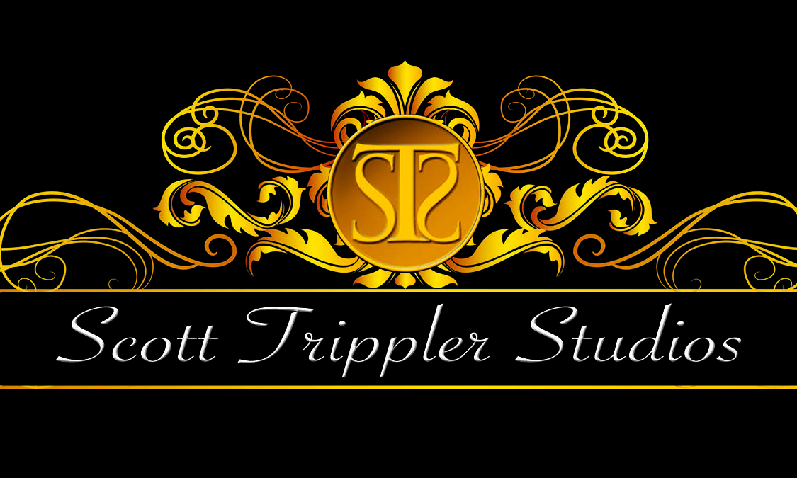 All videos are created by the fantastic talents of our partners Scott Trippler Stu